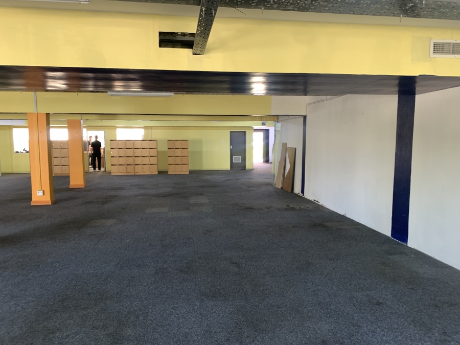 To Let commercial Property for Rent in Rondebosch Western Cape